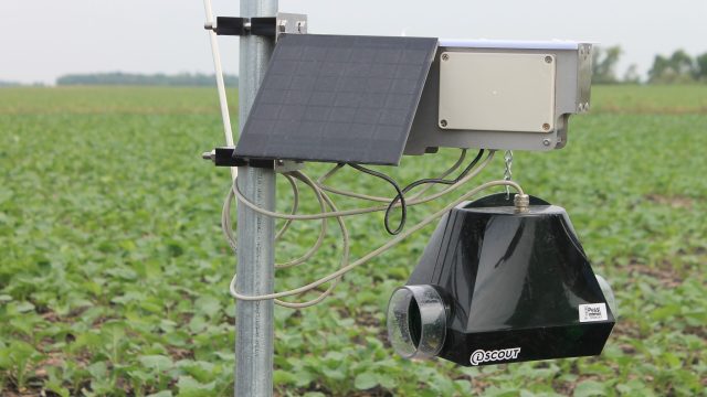 iSCOUT® insect trap
