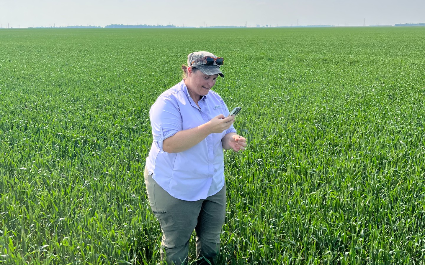 Installing OpticAg sensors on grain bins at EMILI's Innovation Farms.