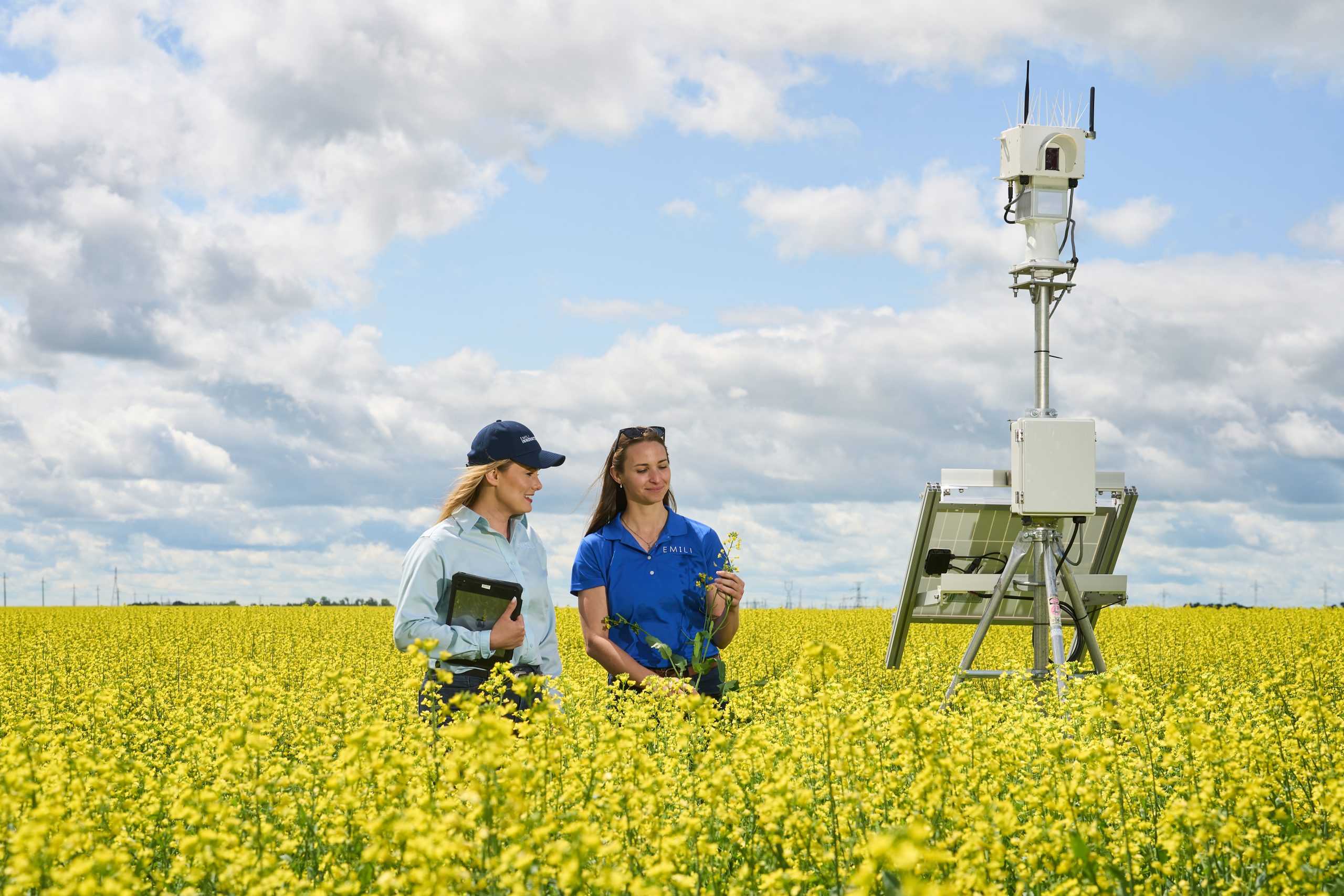 Jacqueline and Leanne from EMILI stand in a yellow canola field at Innovation Farms.
