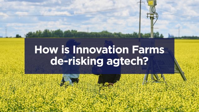 How is Innovation Farms de-risking agtech video cover