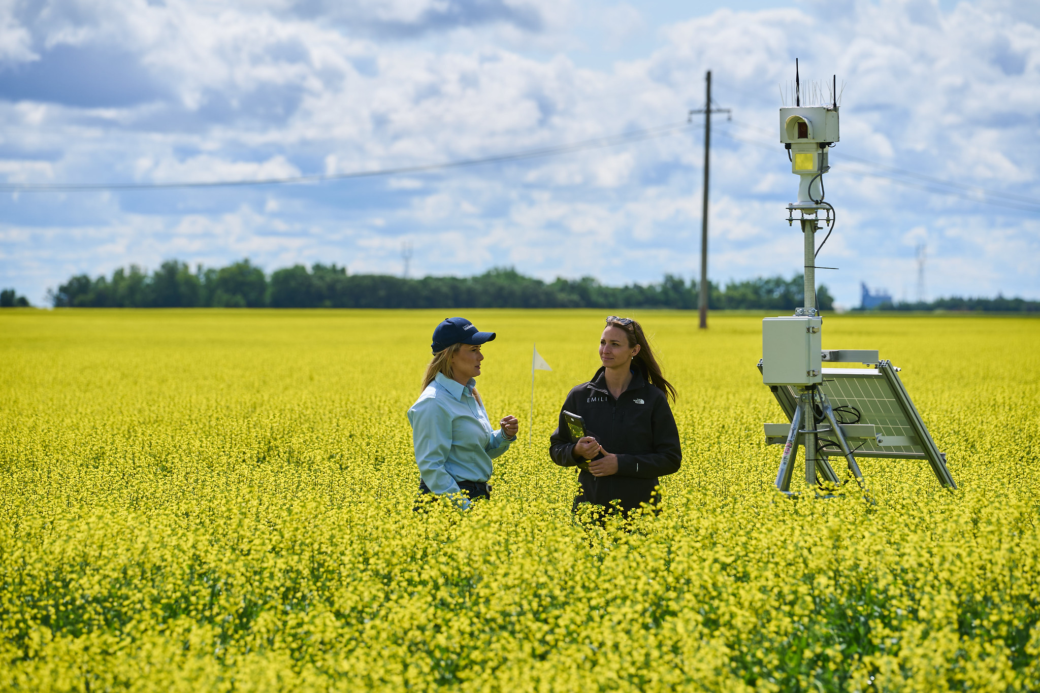 Installing OpticAg sensors on grain bins at EMILI's Innovation Farms.