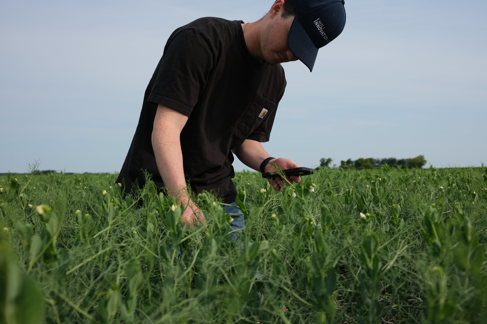 This is Agriculture: Farm and Food Safety Manager
