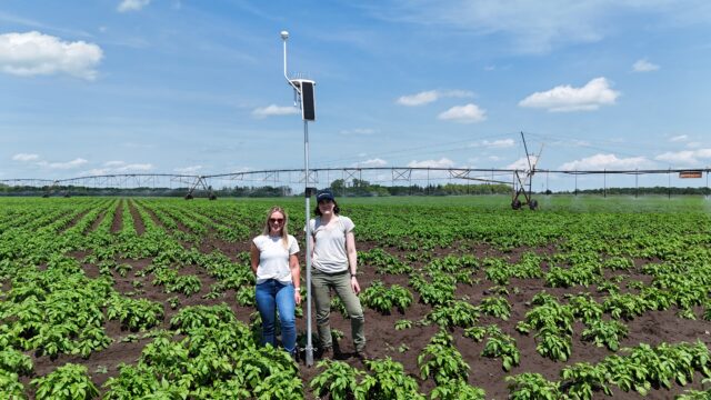 Arable Mark 3