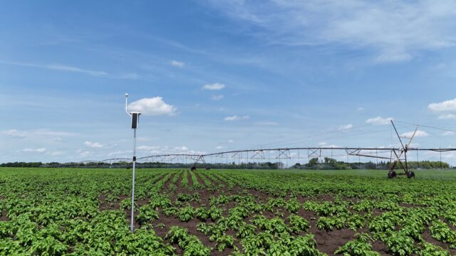 Arable Mark 3 in potato field